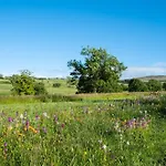 Snittlegarth Farm Wigton